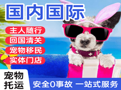 呼伦贝尔机场货运国际宠物托运 【国